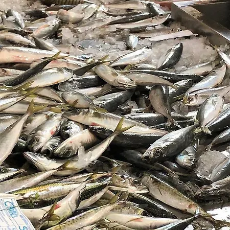 Apartment, Casa Oliverio